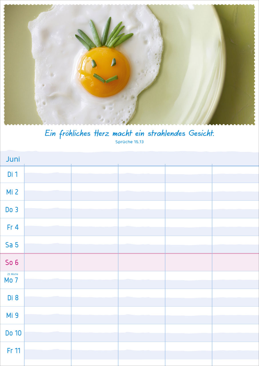Multiplaner - Wandkalender 2027