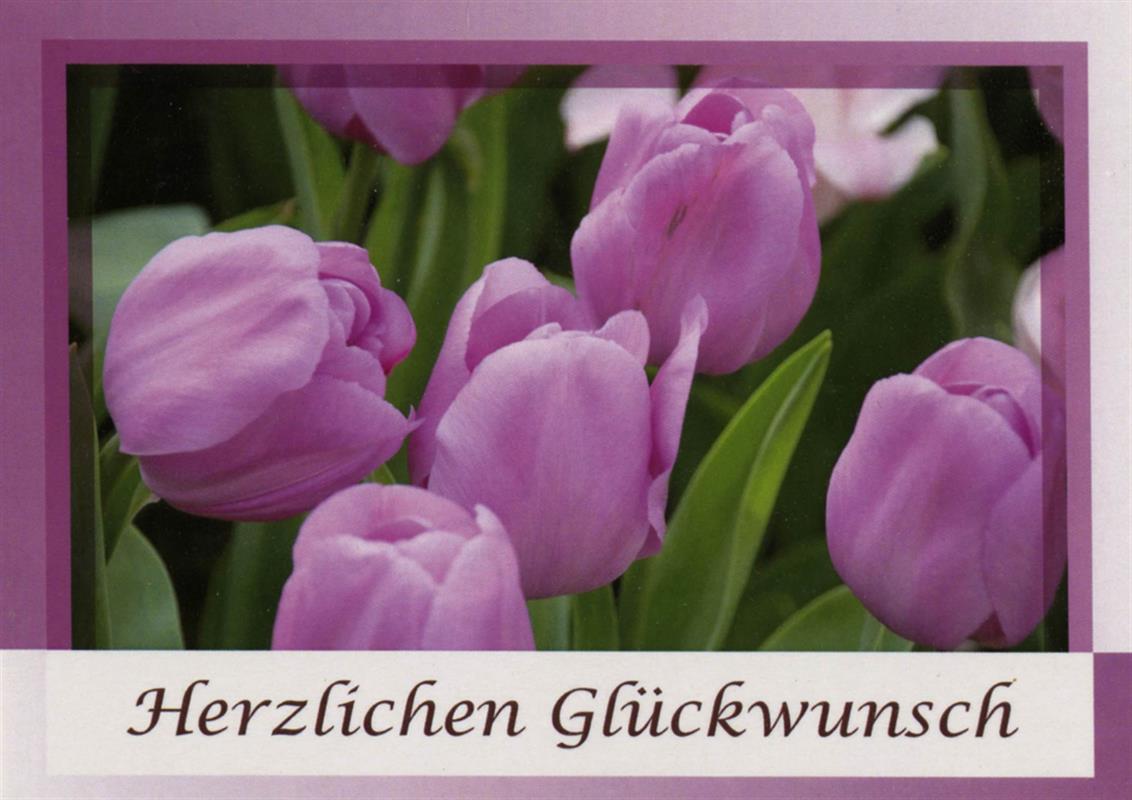 Doppelkarte-Herzlichen-Gl-ckwunsch-Doppelkarte_Geburtstag_6 Doppelkarte - Herzlichen Glückwunsch