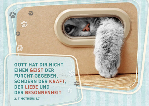 Postkarte-Liebe-und-Besonnenheit-liebe-und-besonnenheit-postkarte_1573482274785_1500x-2x Postkarte - Liebe und Besonnenheit