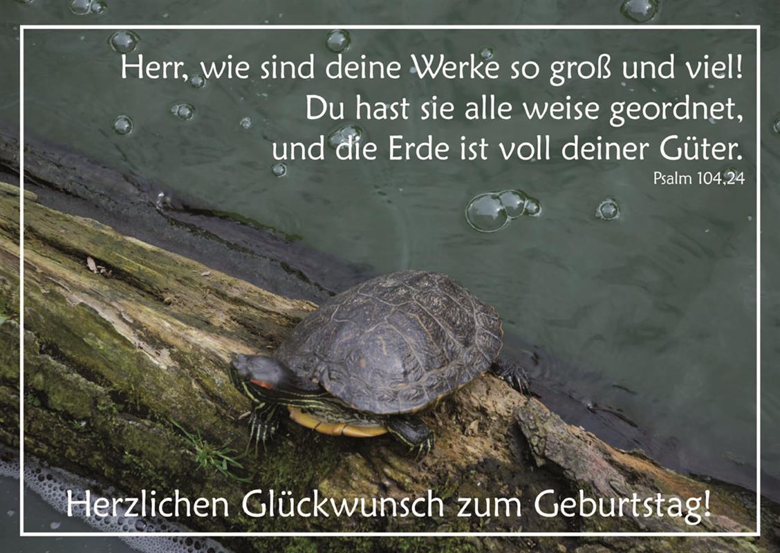Postkarte zum Geburtstag, Psalm 104,24