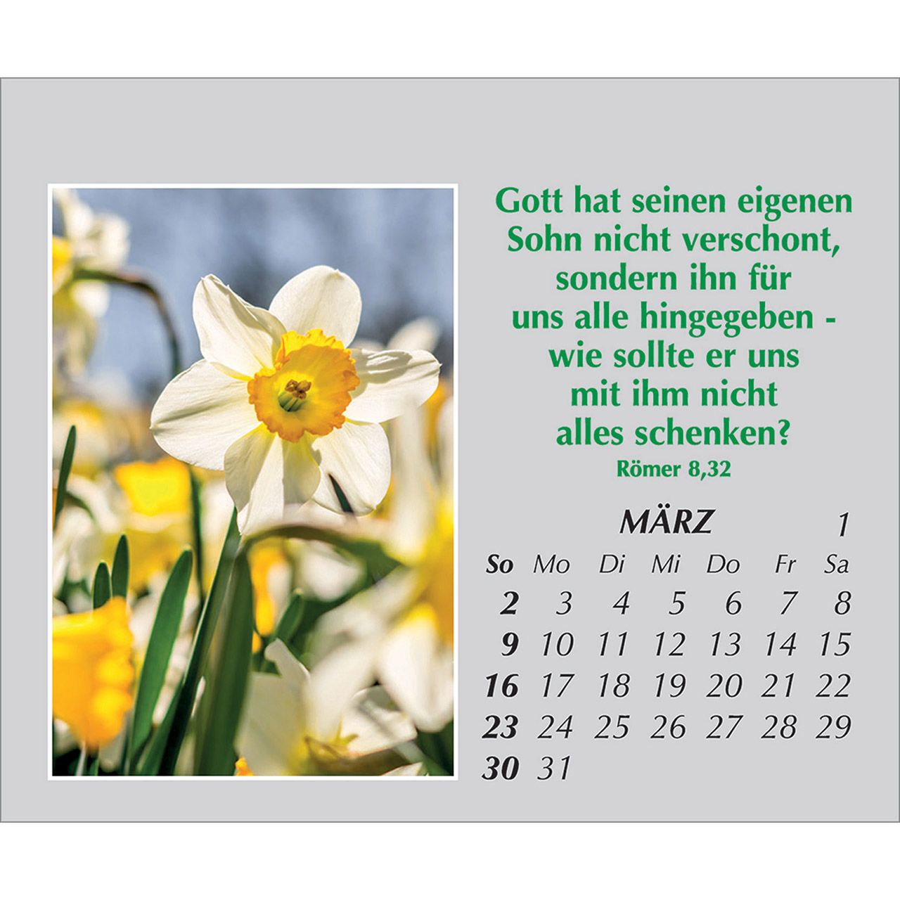 Mini-Aufstellkalender - Freude für jeden Tag 2025