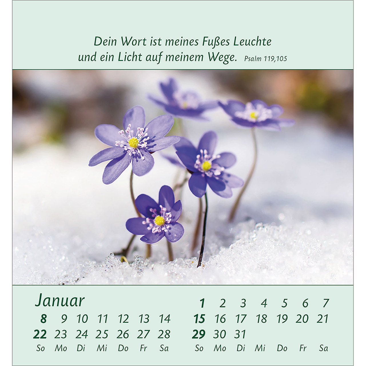 Aufstellkalender - Kleine Blumengrüße 2023 Aufstellkalender - Kleine Blumengrüße 2023