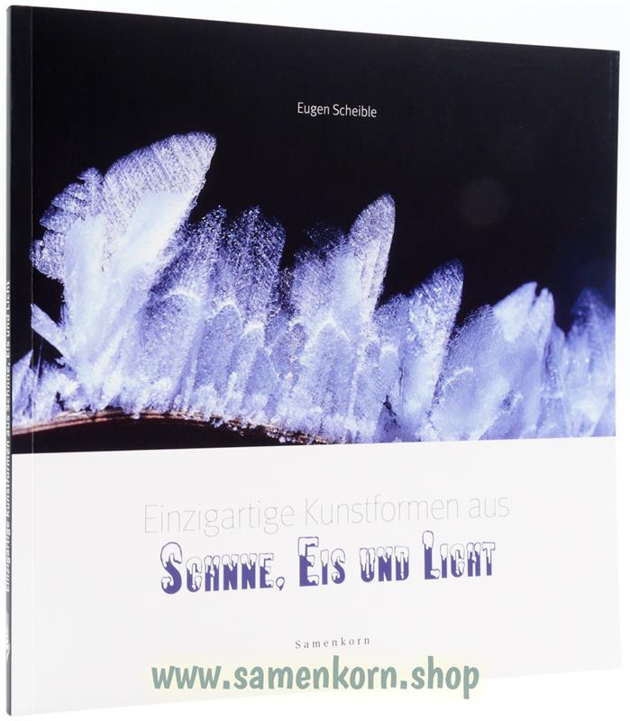 Einzigartige-Kunstwerke-aus-Schnee-Eis-und-Licht894279_Einzigartige_Kunstformen_aus_Schnee_Eis_und_Lichtk9M3AlnWGHcKa Einzigartige Kunstwerke aus Schnee, Eis und Licht
