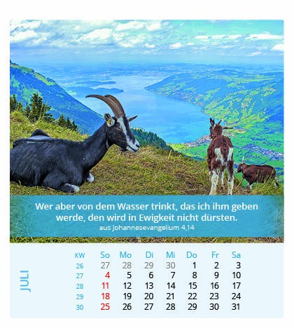 Ich bin der Herr, dein Gott - Tischkalender 2027