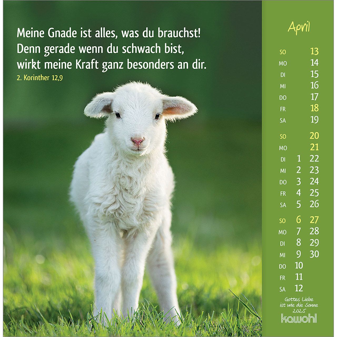 Aufstellkalender - Gottes Liebe ist wie die Sonne 2025