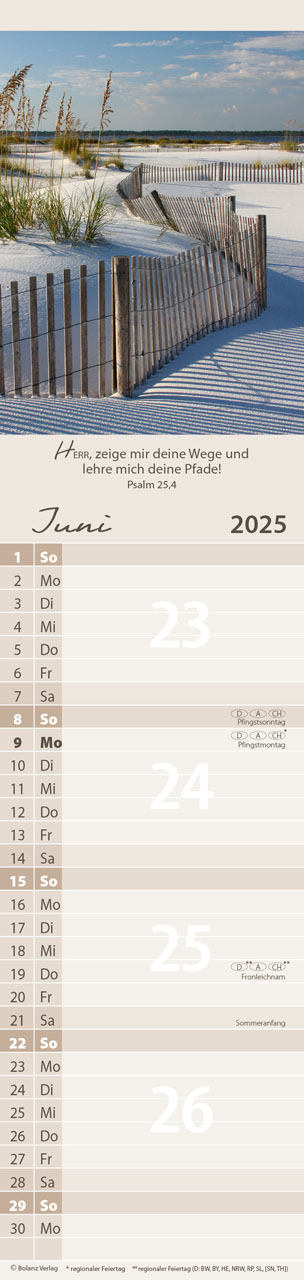 Streifenkalender - Für Alle 2025