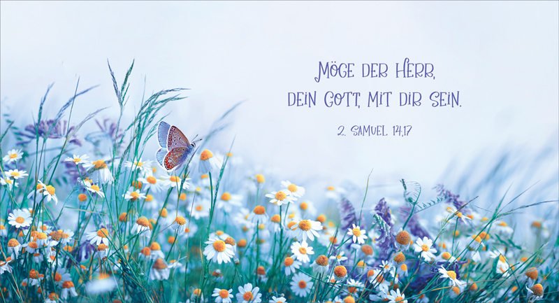 Metalltafel-Schmetterling-Blumenwiese-721080_24x13 Metalltafel Schmetterling Blumenwiese