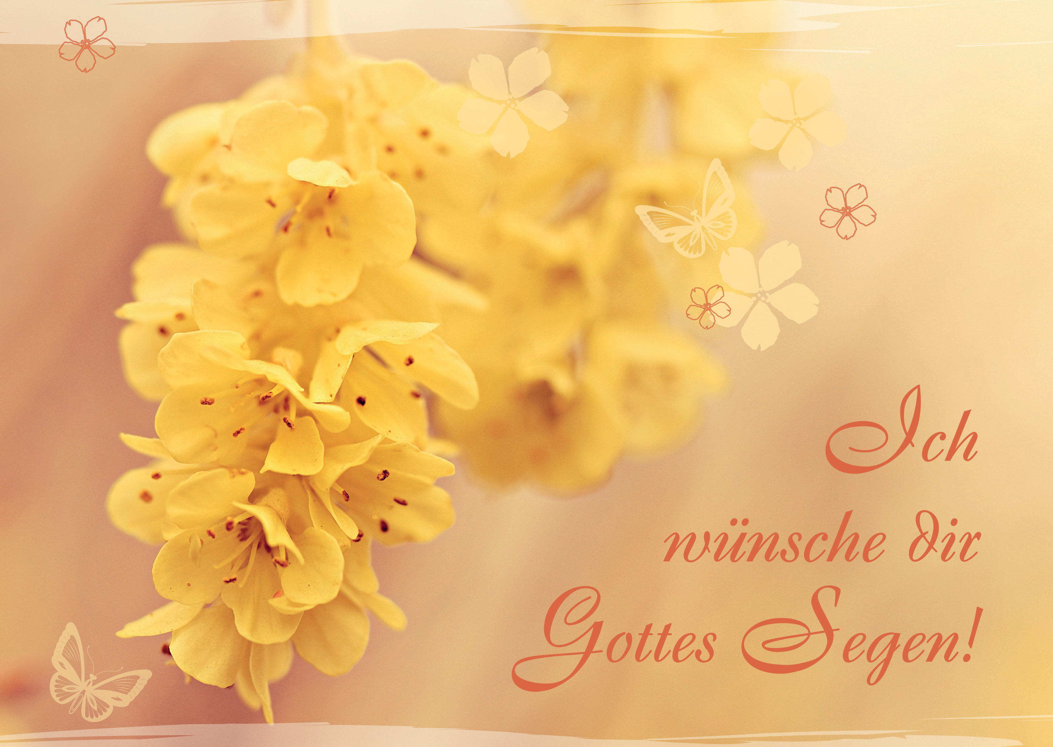 Postkarte-Gelbe-Blume-Postkarten_2019_Rueckseite5 Postkarte - Gelbe Blume