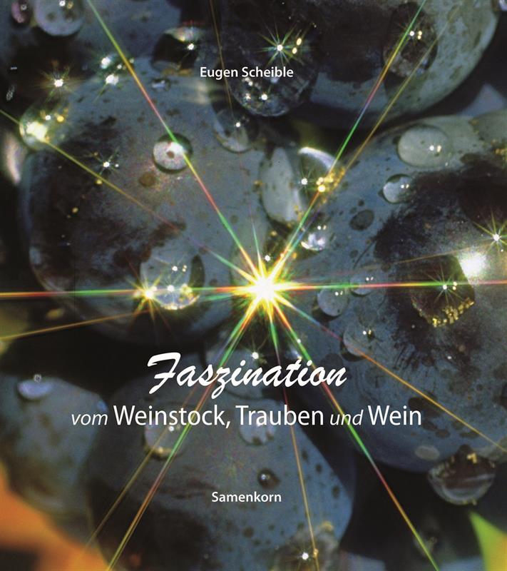 Faszination-vom-Weinstock-Trauben-und-Wein-Faszination_vom_Weinstock Faszination vom Weinstock, Trauben und Wein