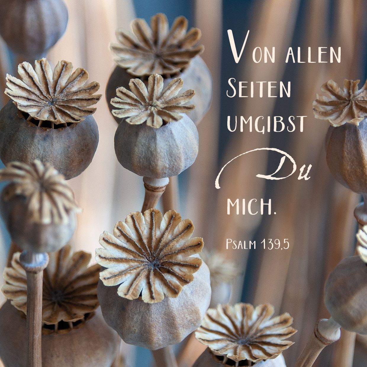 Quadratische Postkarte – Du umgibst mich