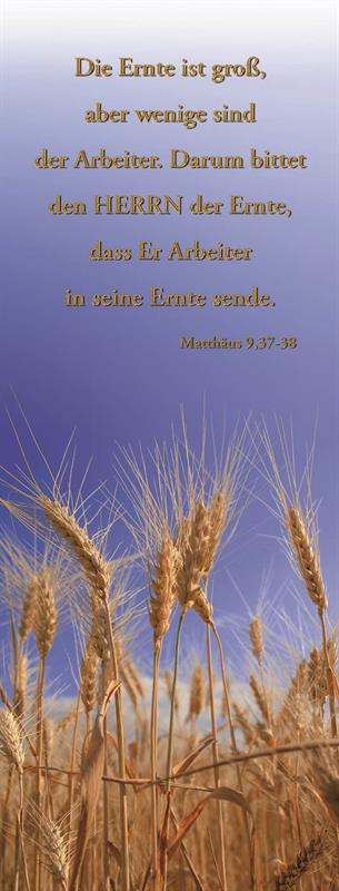 Banner "Kornfeld" 61x160 cm Banner "Kornfeld" 61x160 cm