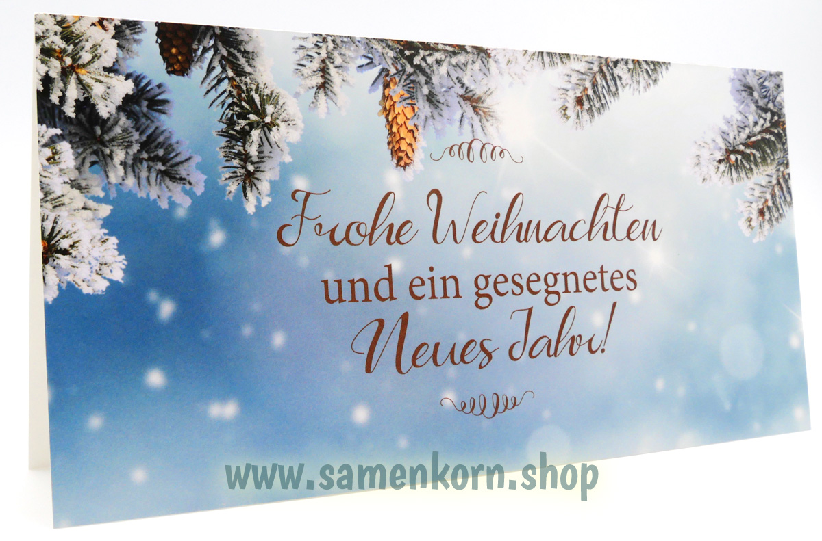 Doppelkarte-Frohe-Weihnachten-Tannenzweige-mit-Zapfen116136_Weihnachtskarte_Weihnachten_und_Neujahr2 Doppelkarte - Frohe Weihnachten ... Tannenzweige mit Zapfen