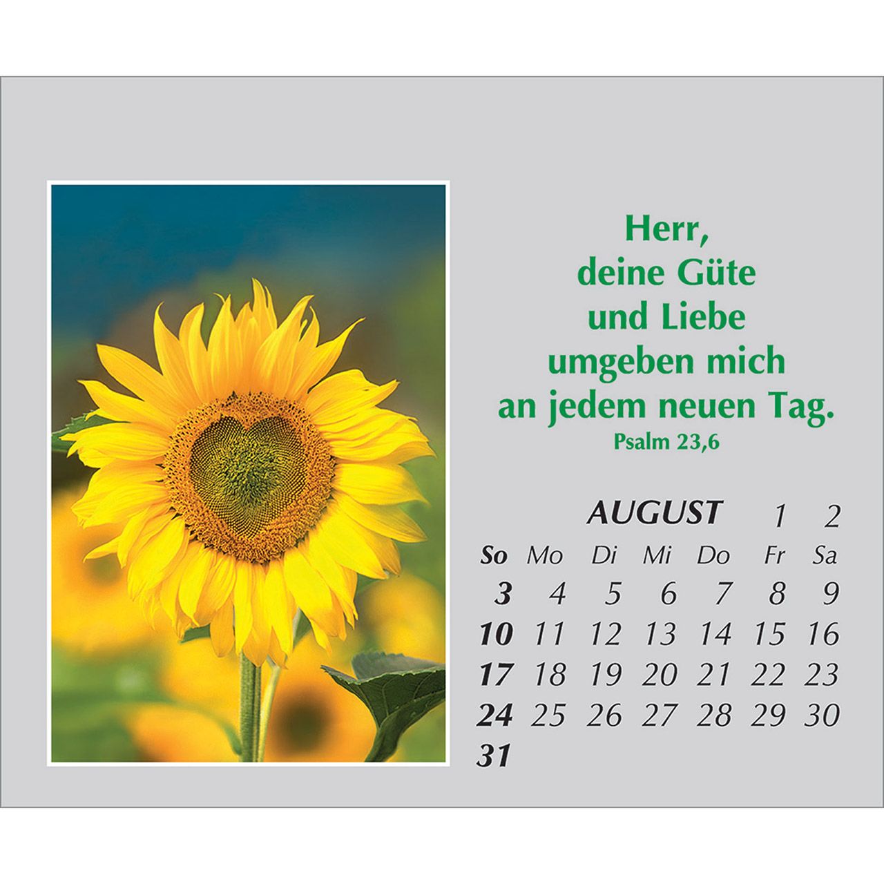 Mini-Aufstellkalender - Freude für jeden Tag 2025