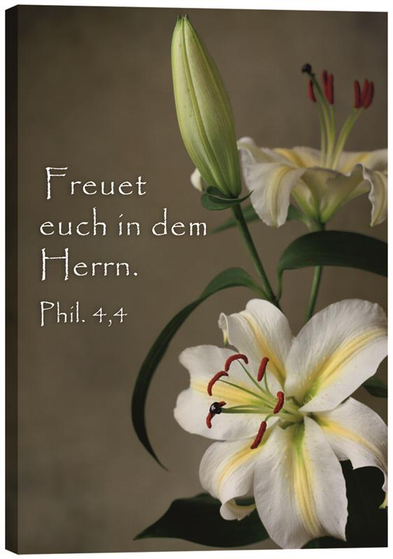 Leinwandbild-Lilien-2135_Bild_Lilien_2NT9MiEkexKjr8 Leinwandbild - Lilien 2