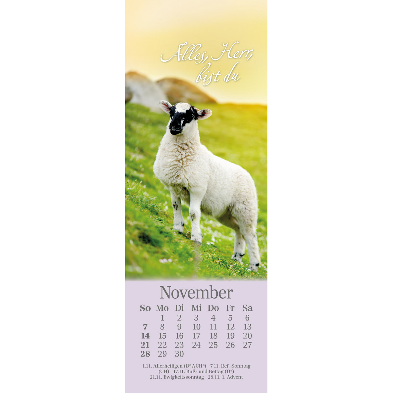 Lesezeichen-Kalender - Sei behütet jeden Tag 2027