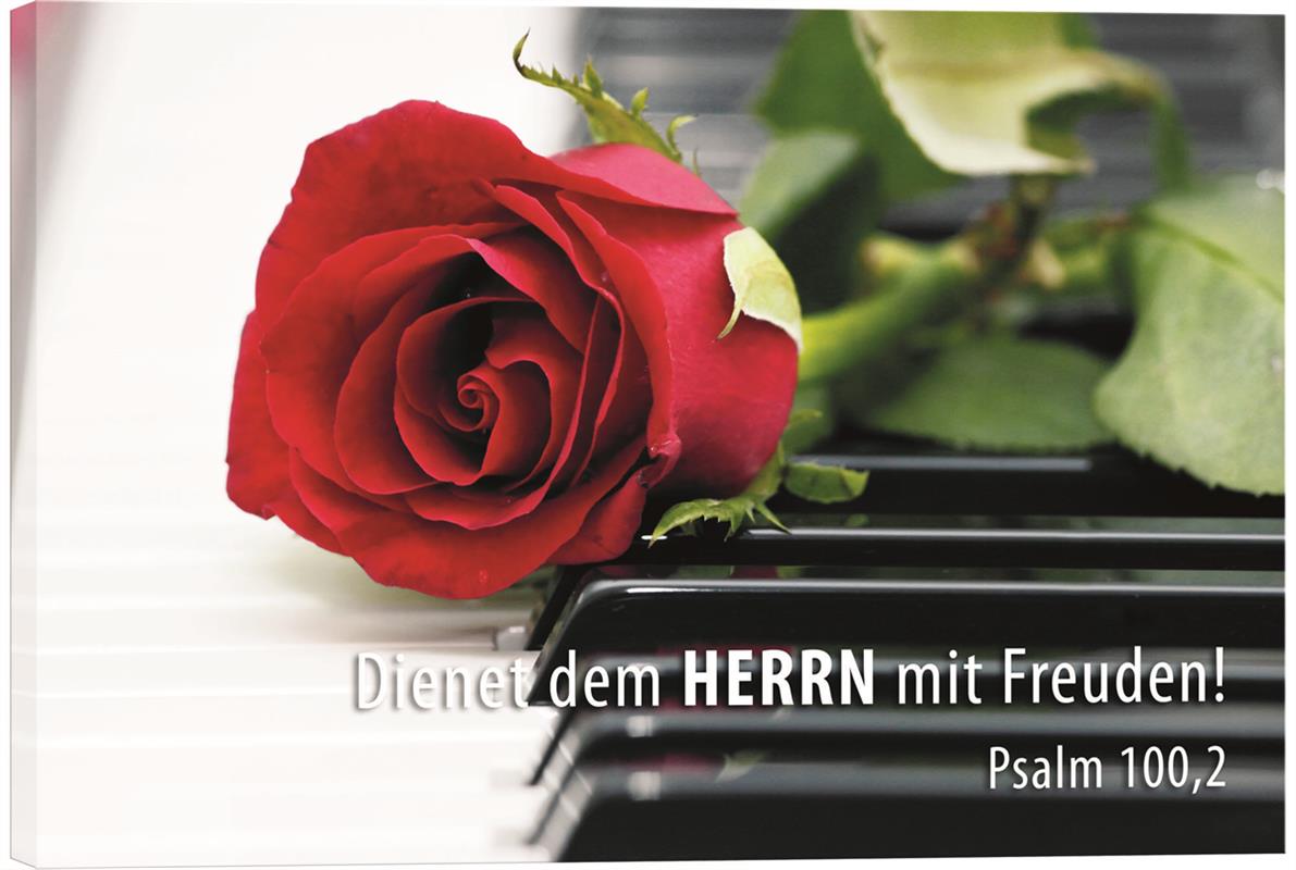 Leinwand - Rose auf Klavier Leinwand - Rose auf Klavier