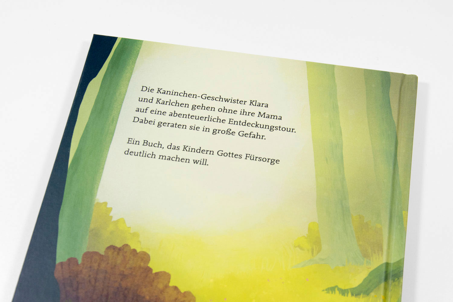 Bilderbuch-Paket