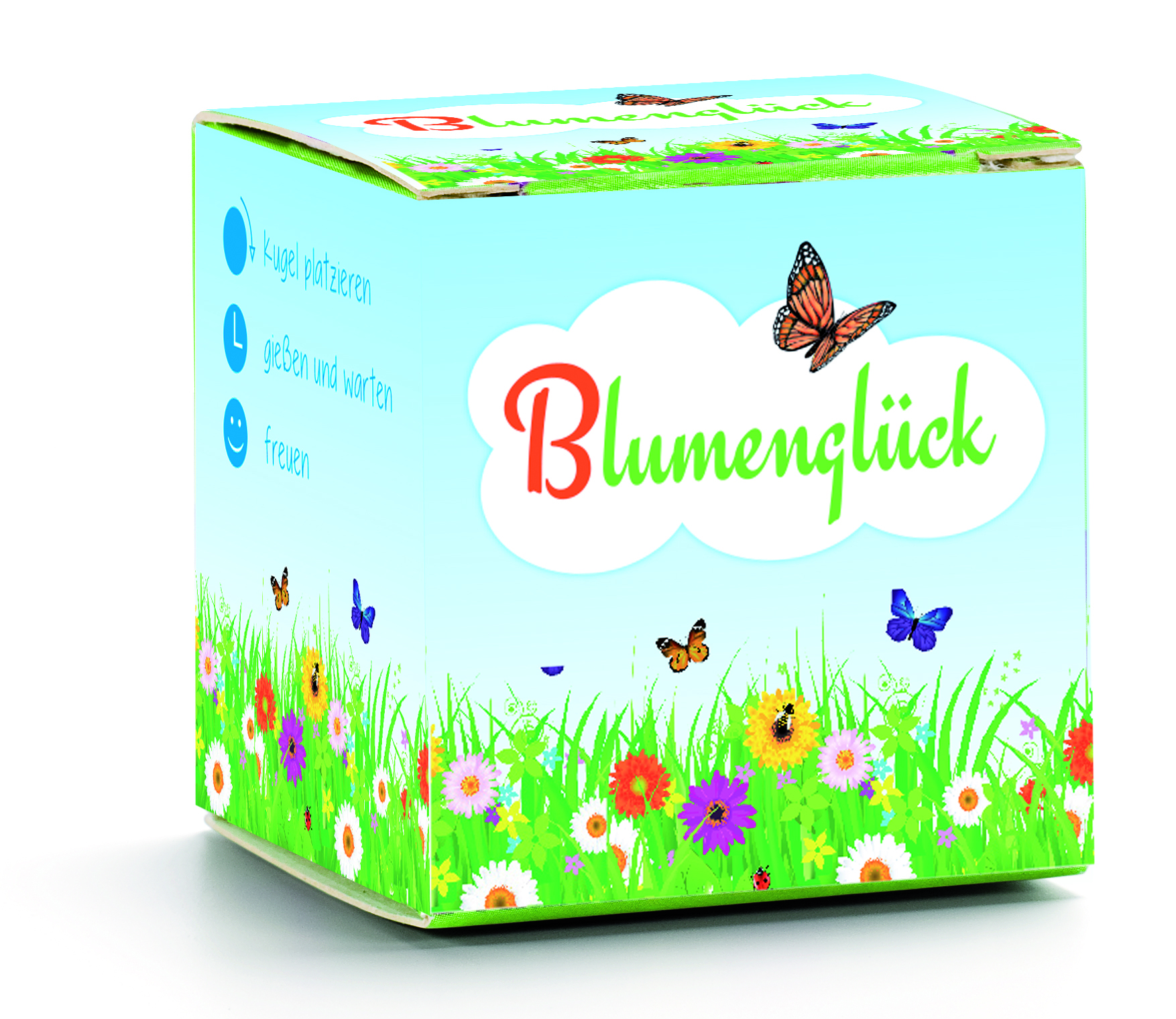 Wildblumenmischung-Blumengl-ck Wildblumenmischung "Blumenglück"