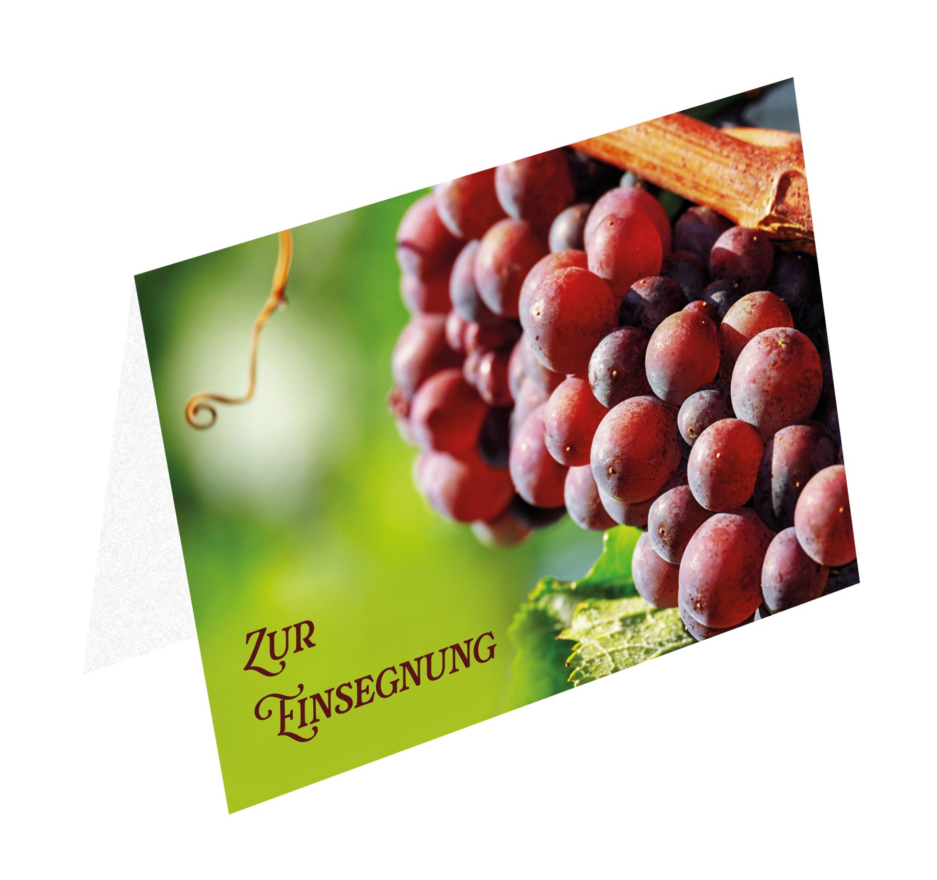 Faltkarte – Weinstock Faltkarte – Weinstock
