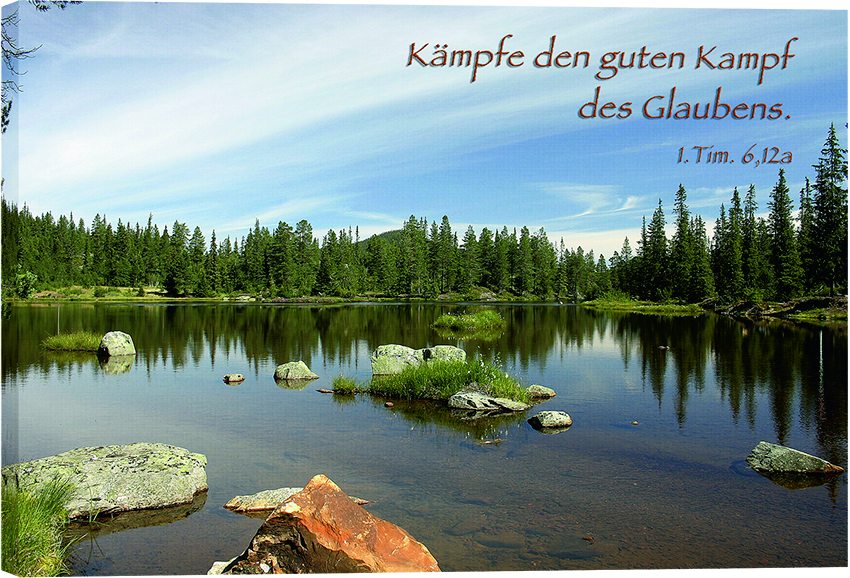 Leinwandbild-Stiller-See-107_Bild_Stiller_SeeYlWgGOE3wscJ0 Leinwandbild - Stiller See