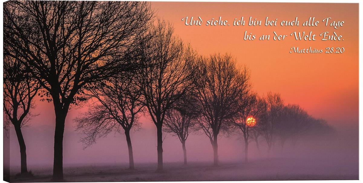 Leinwand - Sonnenaufgang bei Nebel Leinwand - Sonnenaufgang bei Nebel