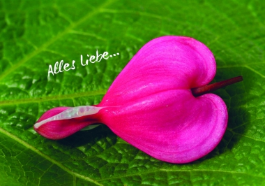 6825_0 Faltkarte - Alles Liebe