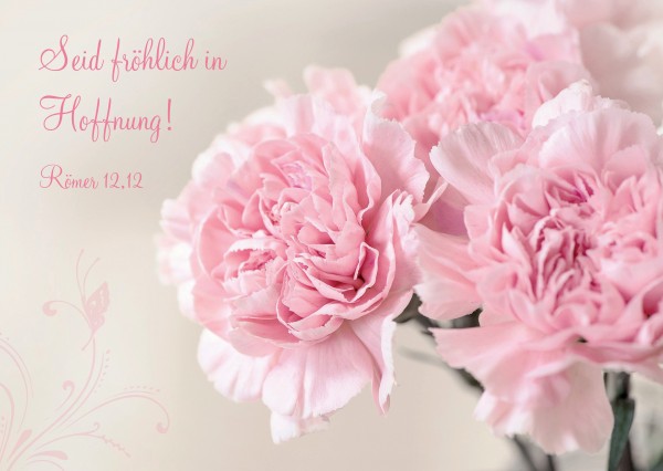 Postkarte-rosa-Nelken-Postkarten_600x600