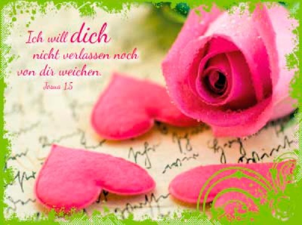 Mini-SP-Rosa-Rose-Herzen-73519154afbce333e4a_600x600 Mini-SP Rosa Rose/Herzen