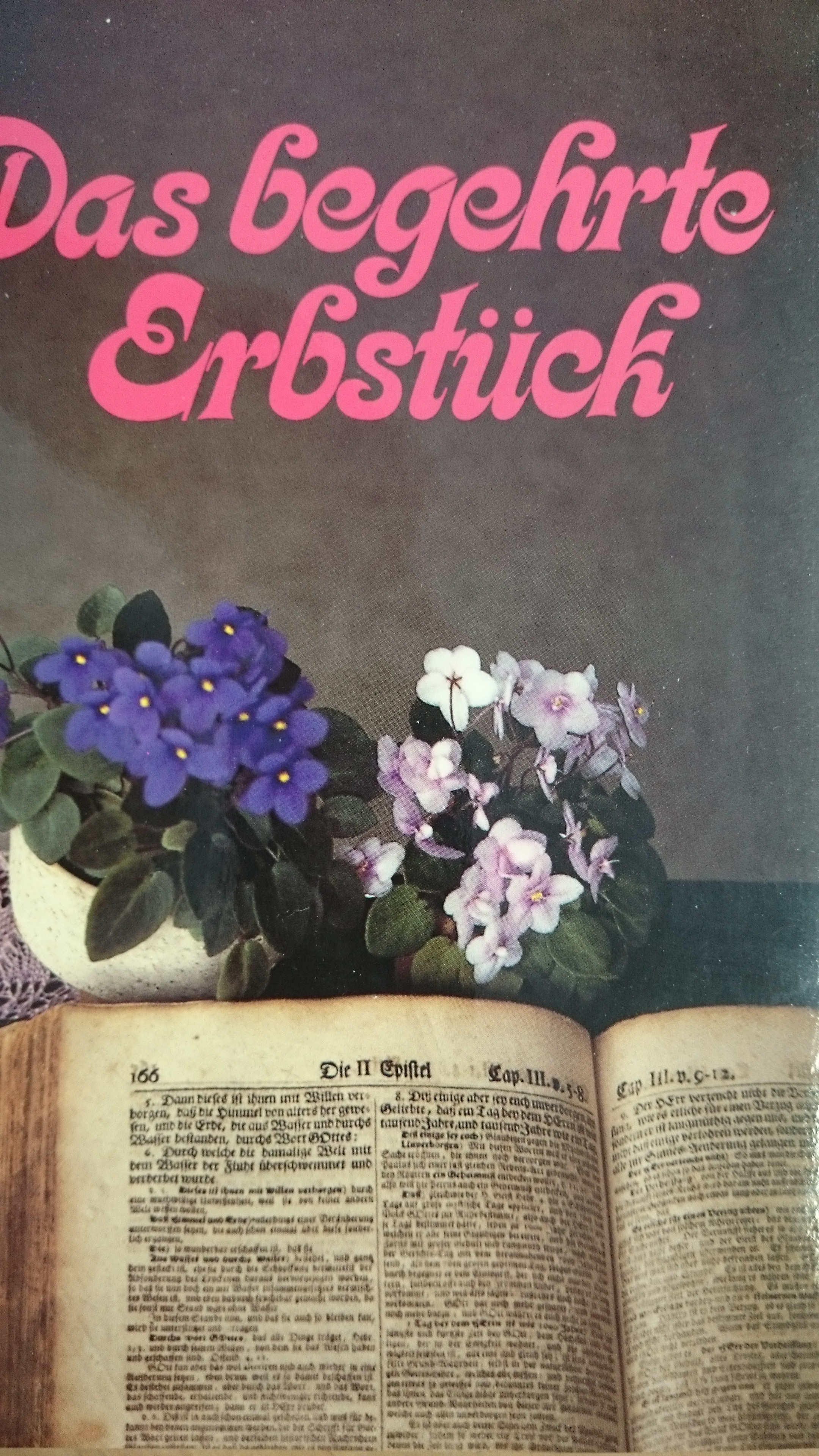 Das-begehrte-Erbst-ck54f85a39cd8da Das begehrte Erbstück