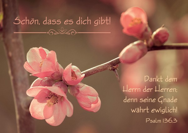 PK-Schoen-dass-es-dich-gibt-Postkarten9_600x600 PK - Schön, dass es dich gibt!