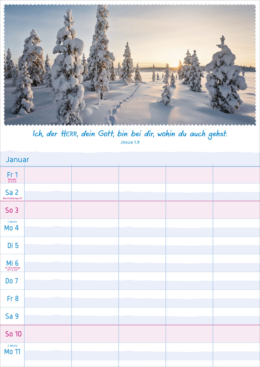 Multiplaner - Wandkalender 2027