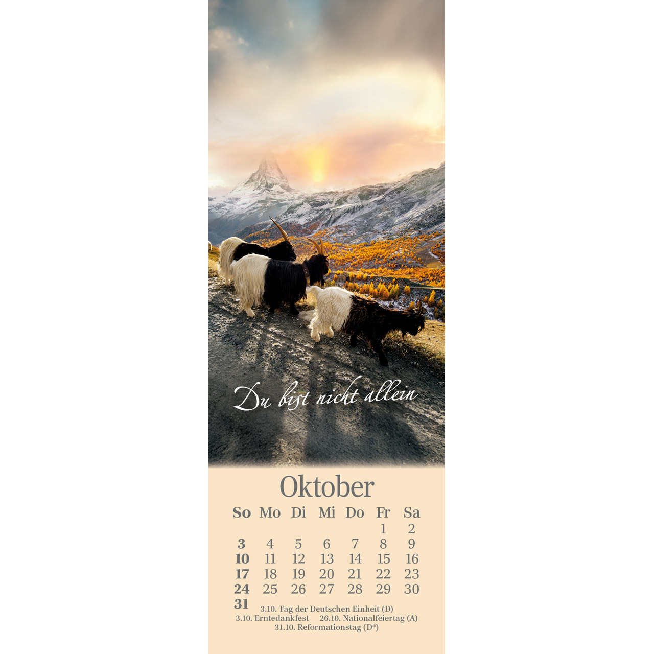 Lesezeichen-Kalender - Sei behütet jeden Tag 2027