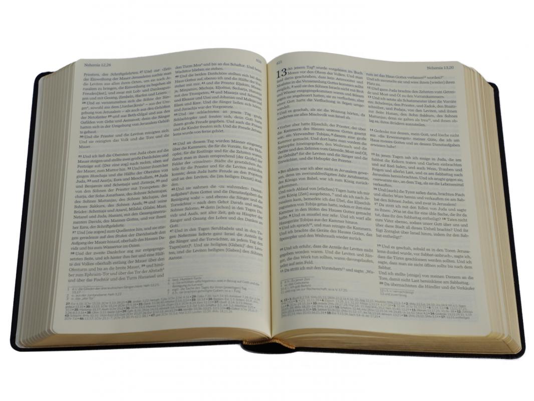 Die Bibel in deutscher Fassung - Rindspaltleder