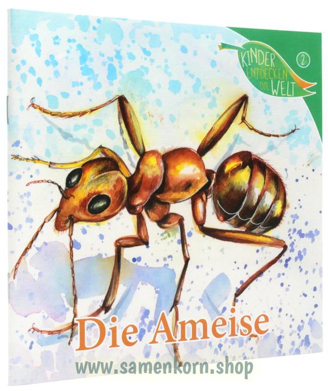 Die Ameise Die Ameise