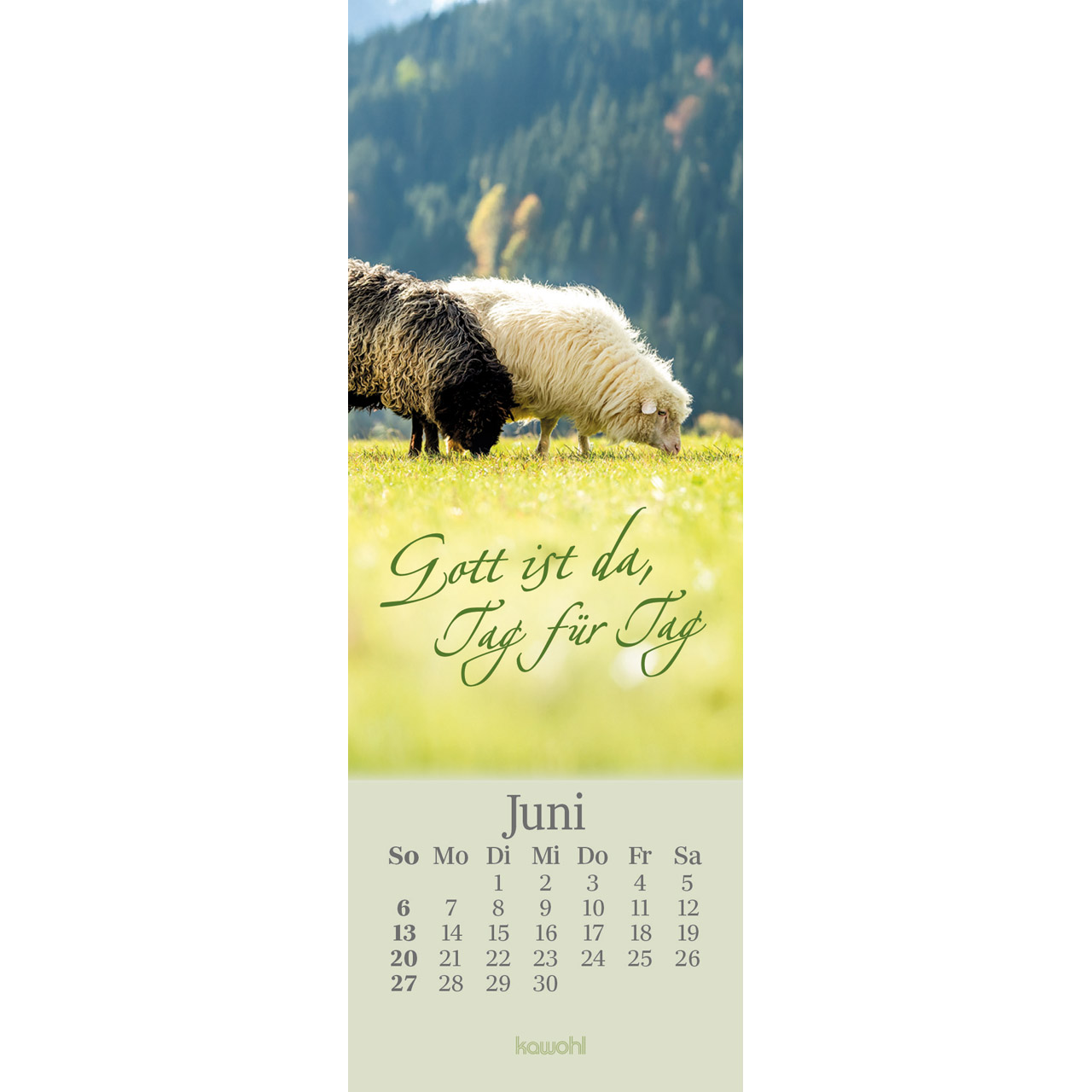 Lesezeichen-Kalender - Sei behütet jeden Tag 2027