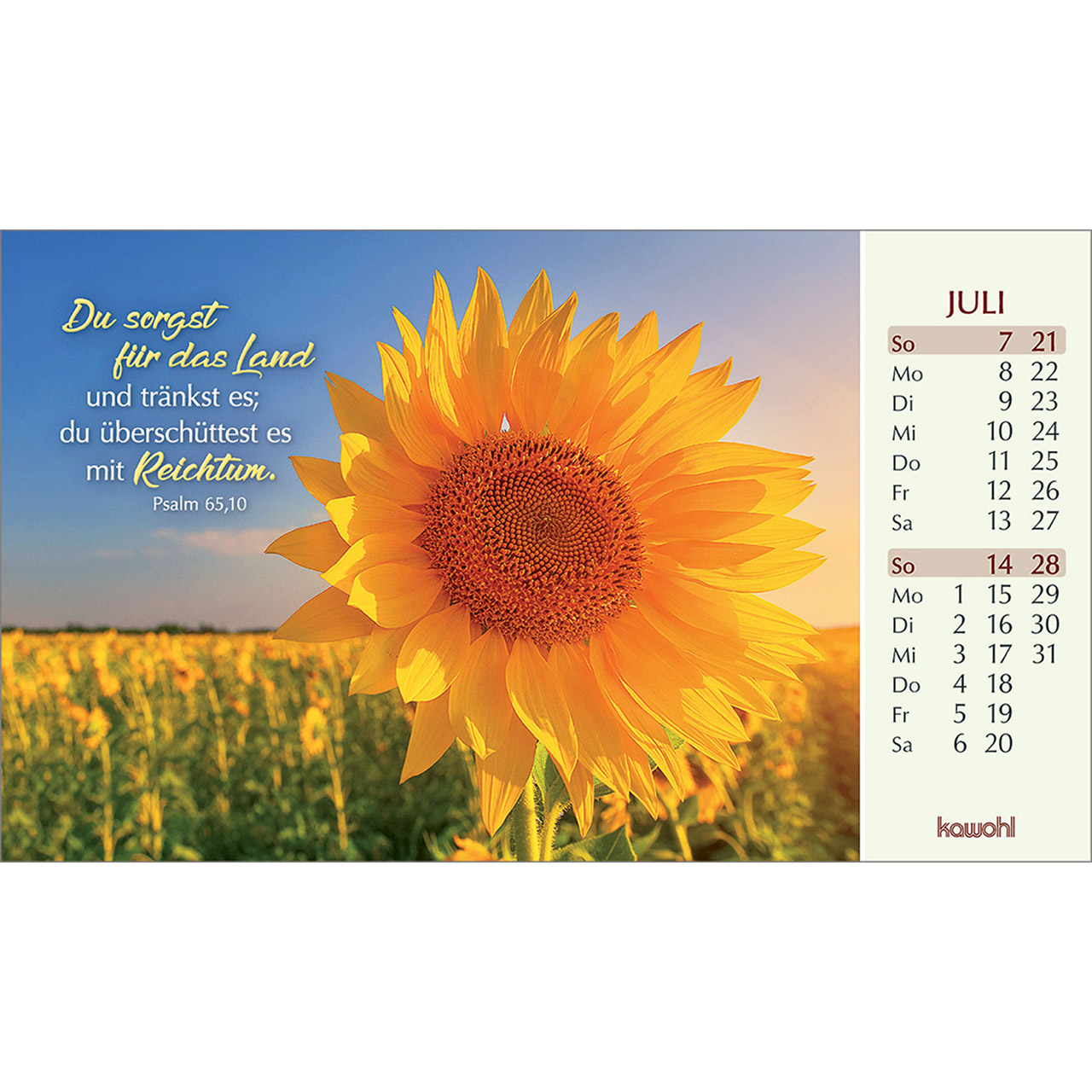 Aufstellkalender 2024 - Heute und Morgen Aufstellkalender 2024 - Heute und Morgen