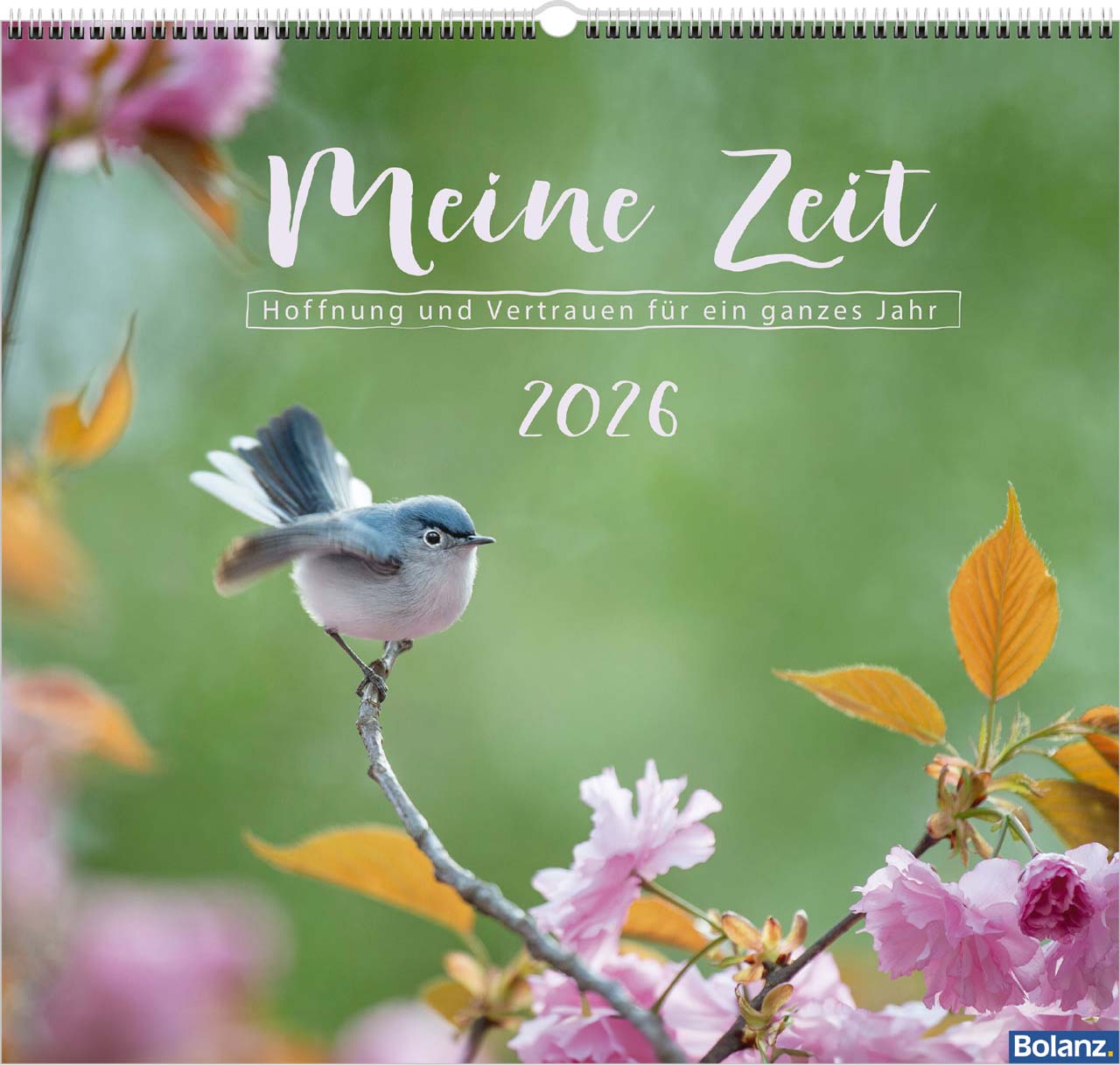 Meine Zeit 2026 Wandkalender
