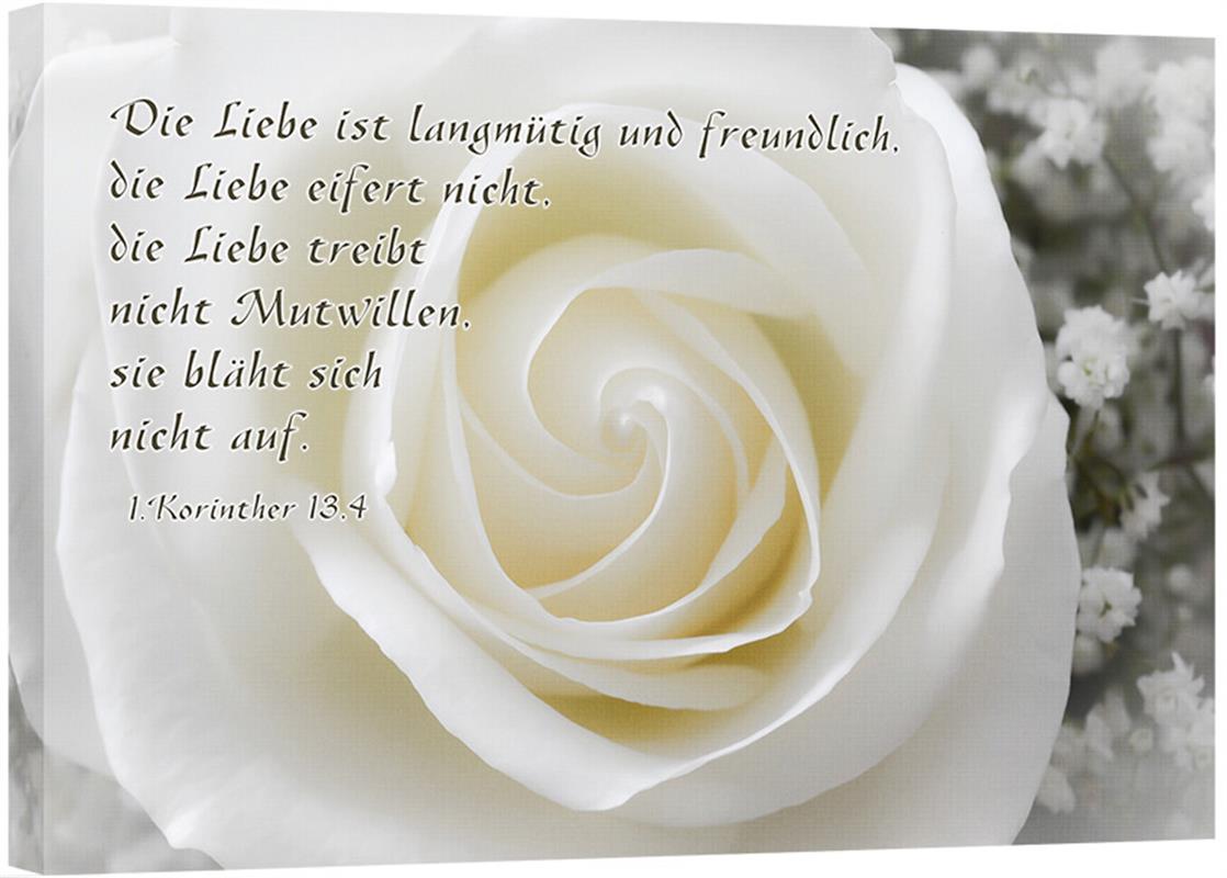 Leinwand - Weiße Rose Leinwand - Weiße Rose