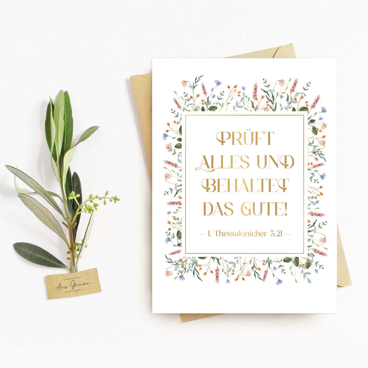 Postkarte - Prüft alles Postkarte - Prüft alles