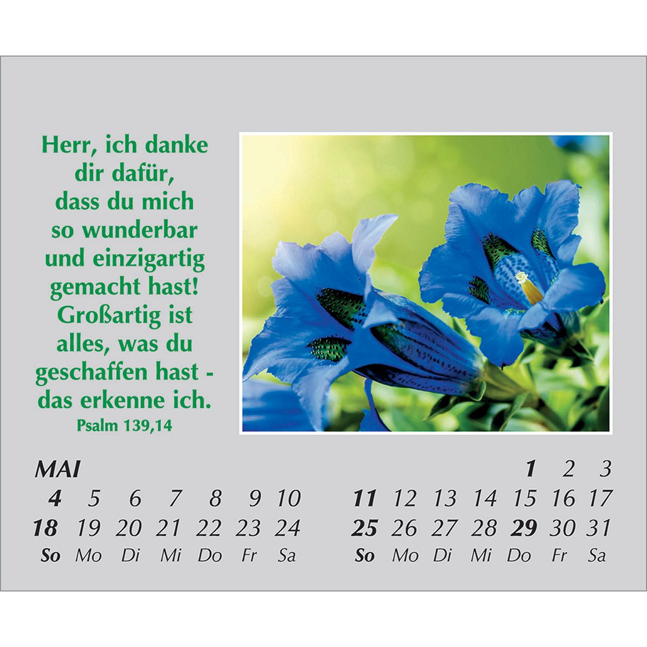 Mini-Aufstellkalender - Freude für jeden Tag 2025