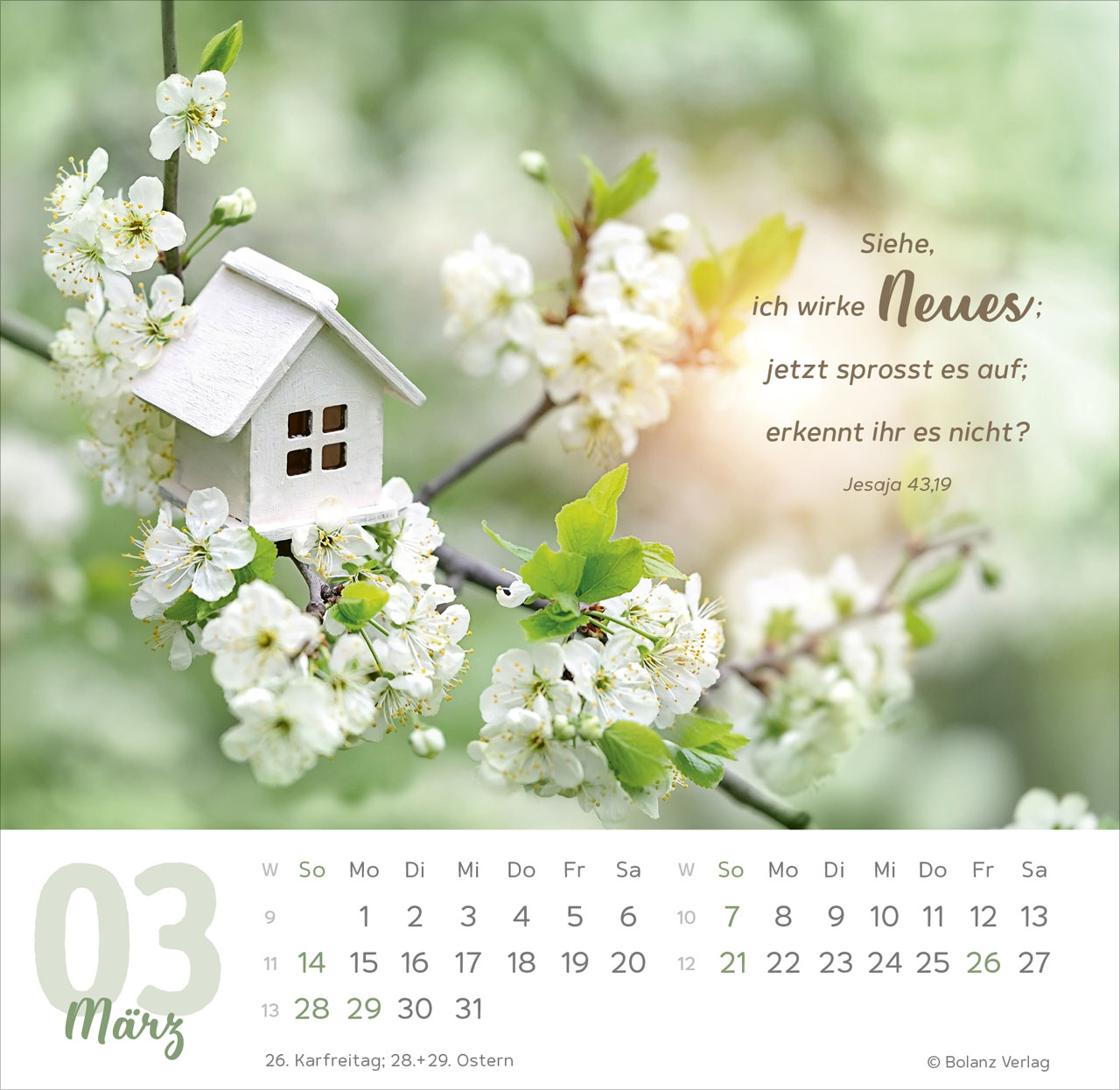 Tischkalender - Meine Zeit 2027