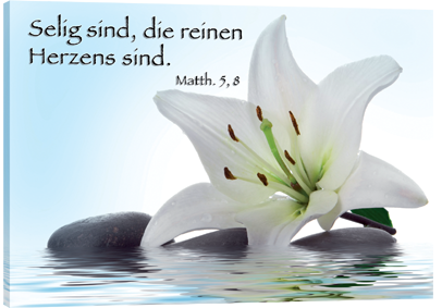 Lilie-im-Wasser54f0383111379 Leinwandbild - Lilie im Wasser