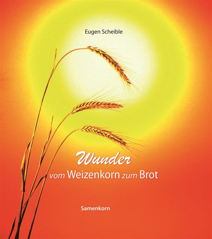 Wunder-vom-Weizenkorn-zum-Brot-Wunder_vom_Weizenkorn Wunder vom Weizenkorn zum Brot