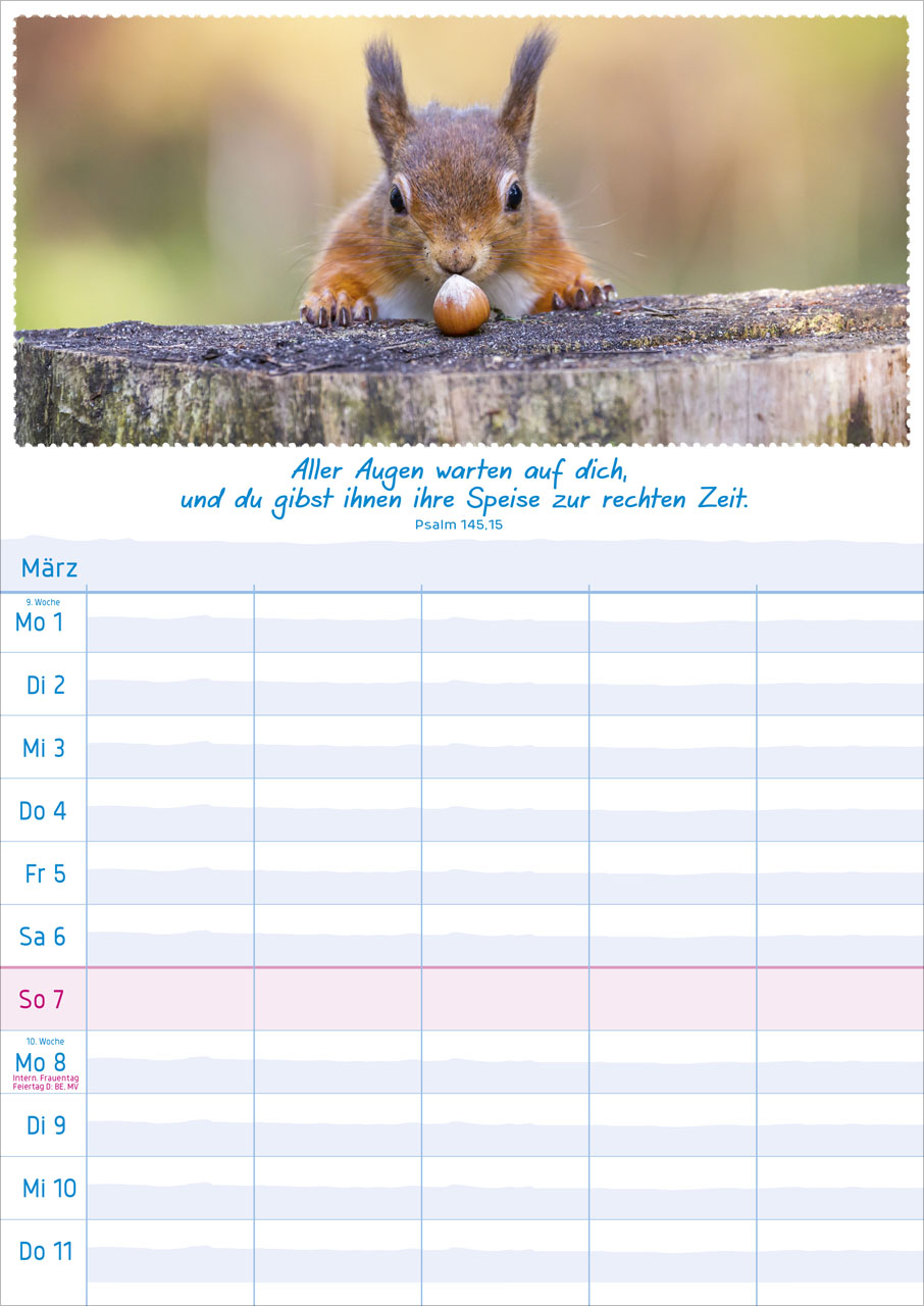 Multiplaner - Wandkalender 2027