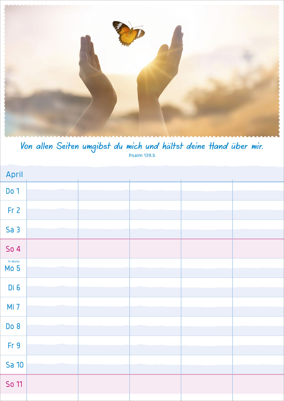 Multiplaner - Wandkalender 2027