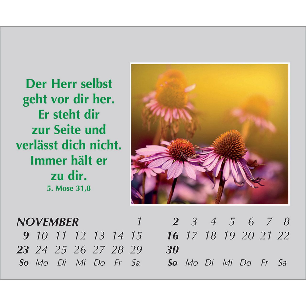 Mini-Aufstellkalender - Freude für jeden Tag 2025