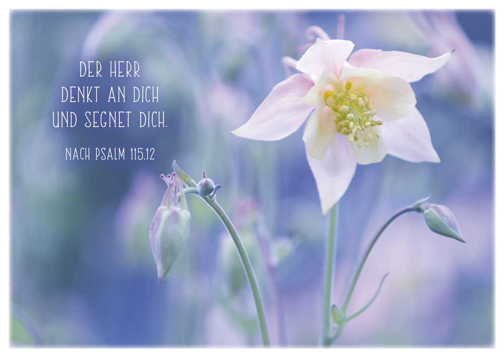 Postkartenbox-Getroestet-und-getragen-179731998_5